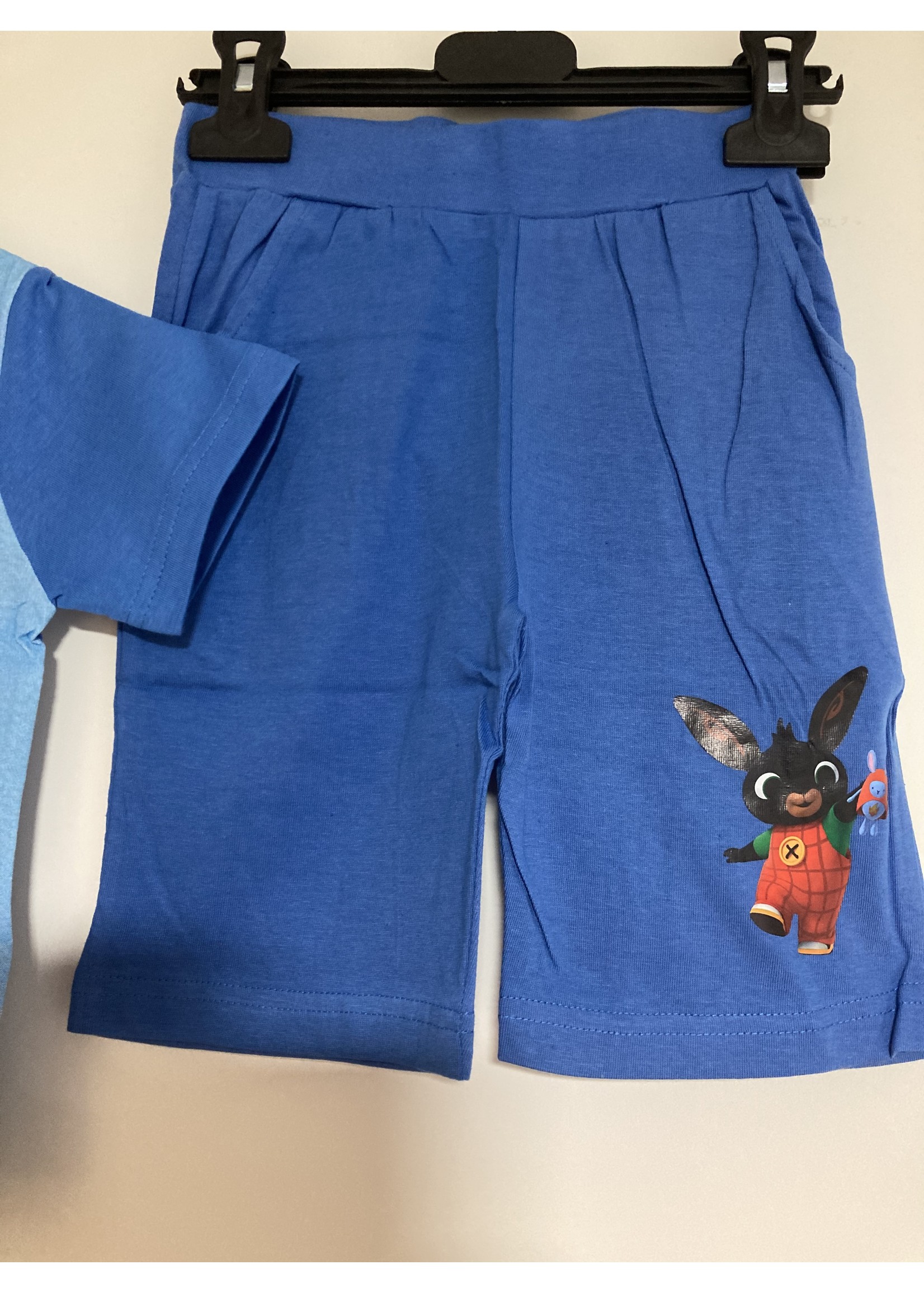 Bing Summer set bunny Bing blue