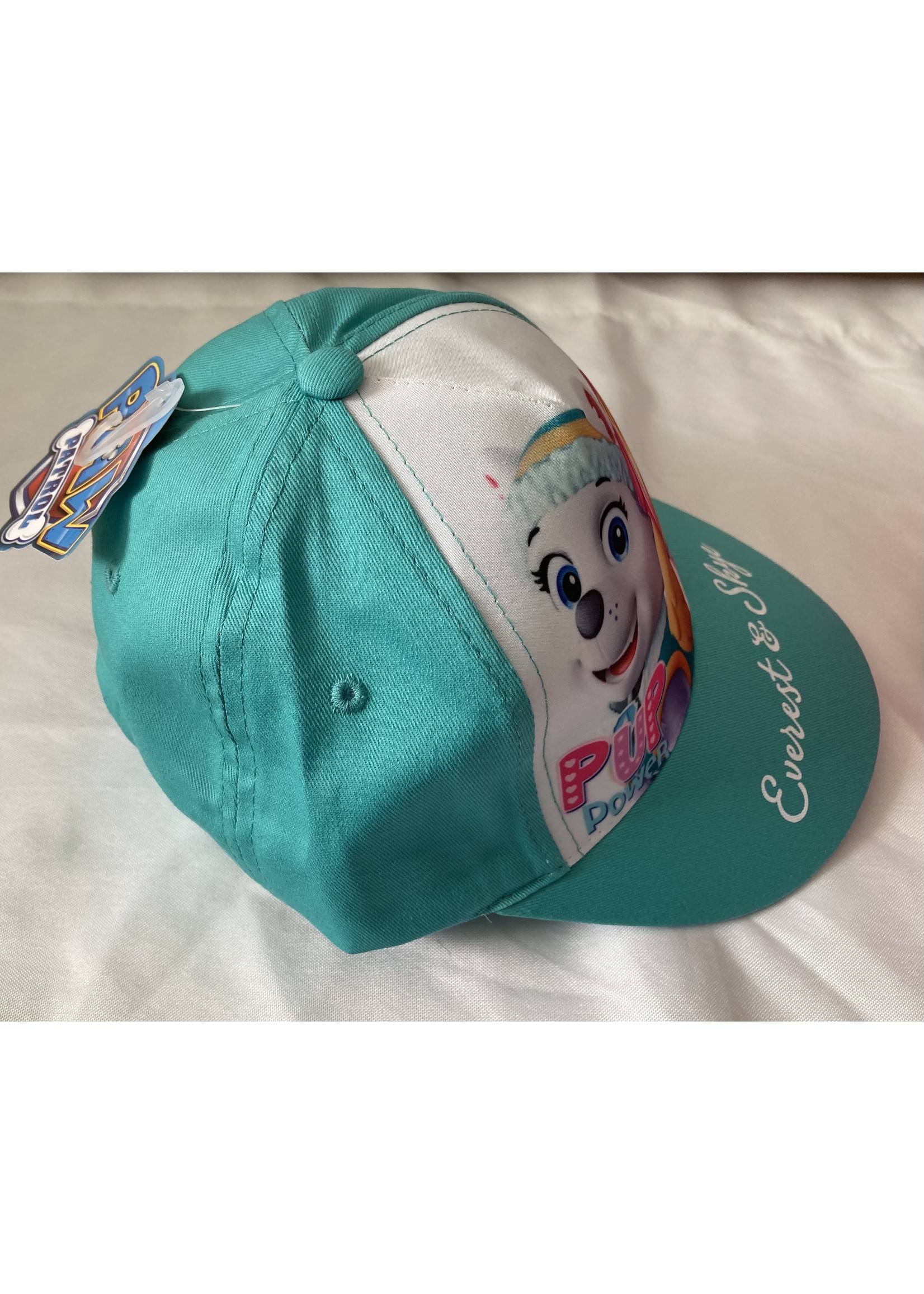 Nickelodeon Paw Patrol baseball cap from Nickelodeon mint green