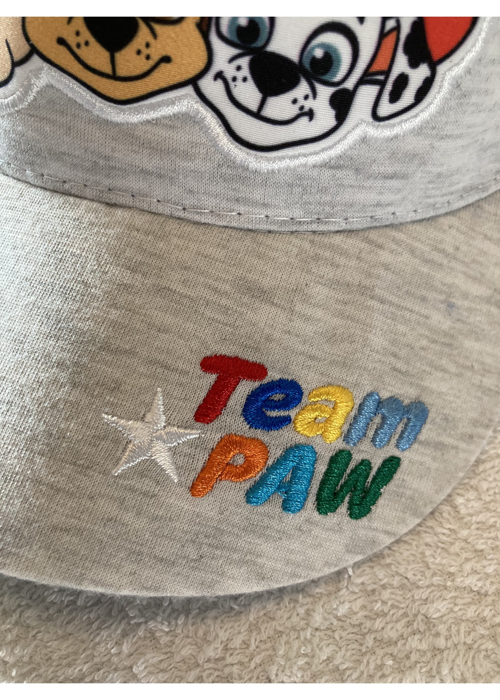 Nickelodeon Paw Patrol baseball cap from Nickelodeon gray