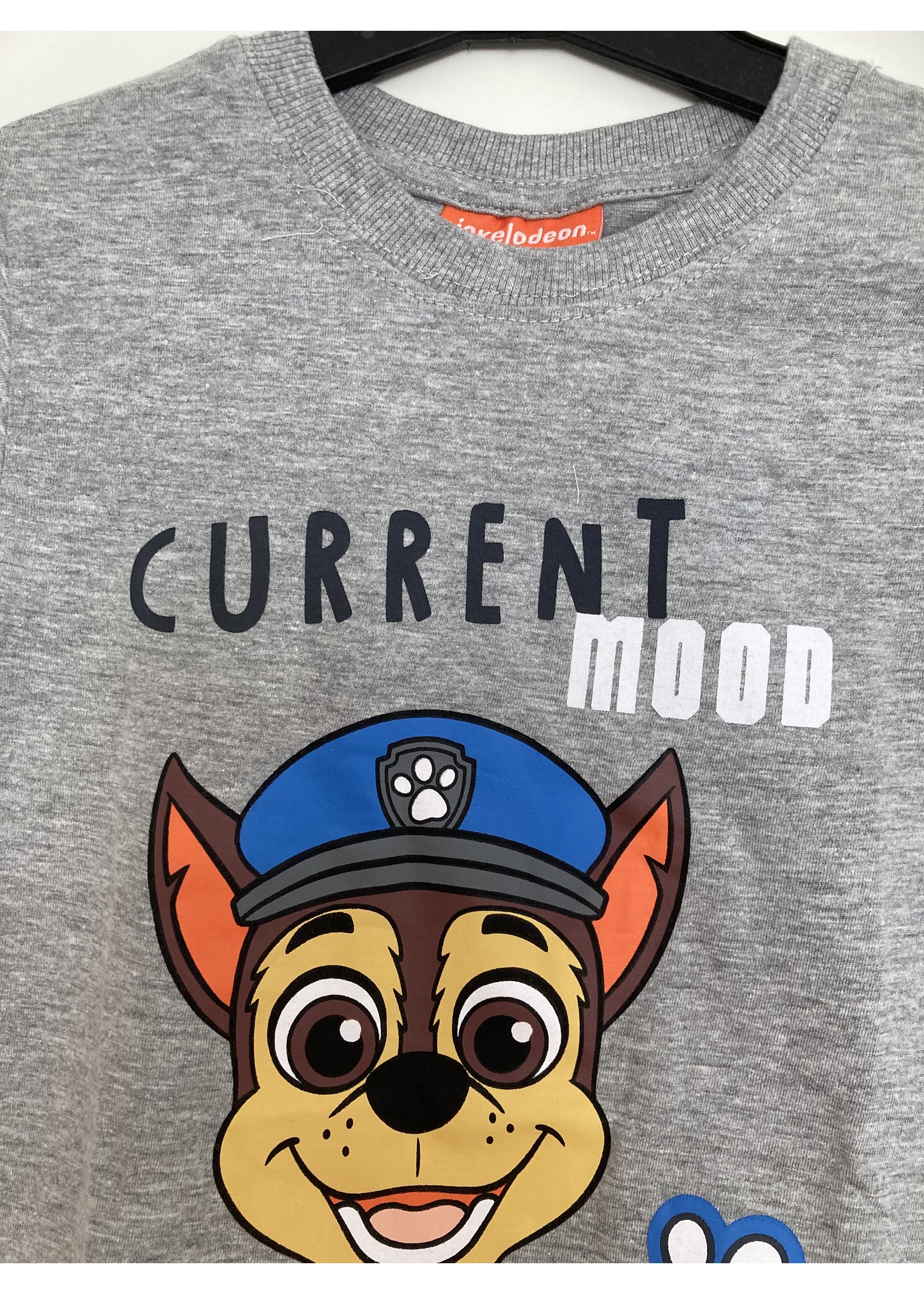 Nickelodeon Paw Patrol T-shirt from Nickelodeon gray