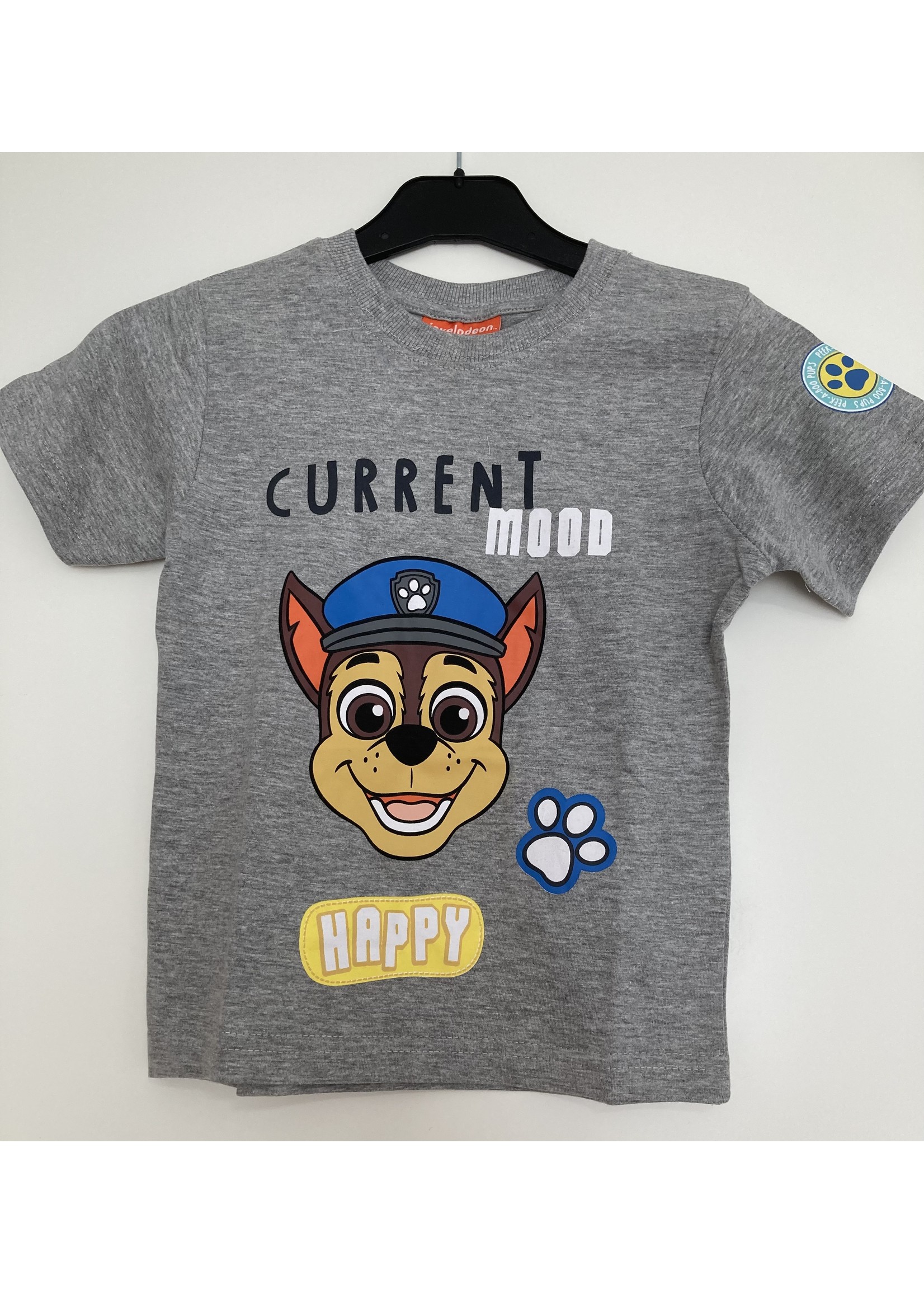 Nickelodeon Paw Patrol T-shirt van Nickelodeon grijs