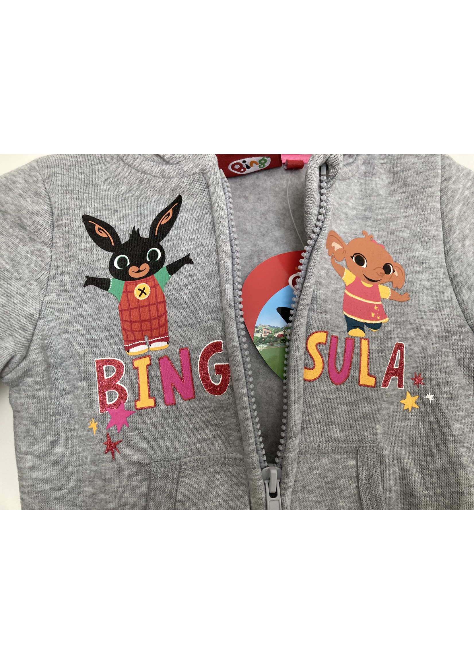 Bing Bunny Bing tracksuit from BING gray