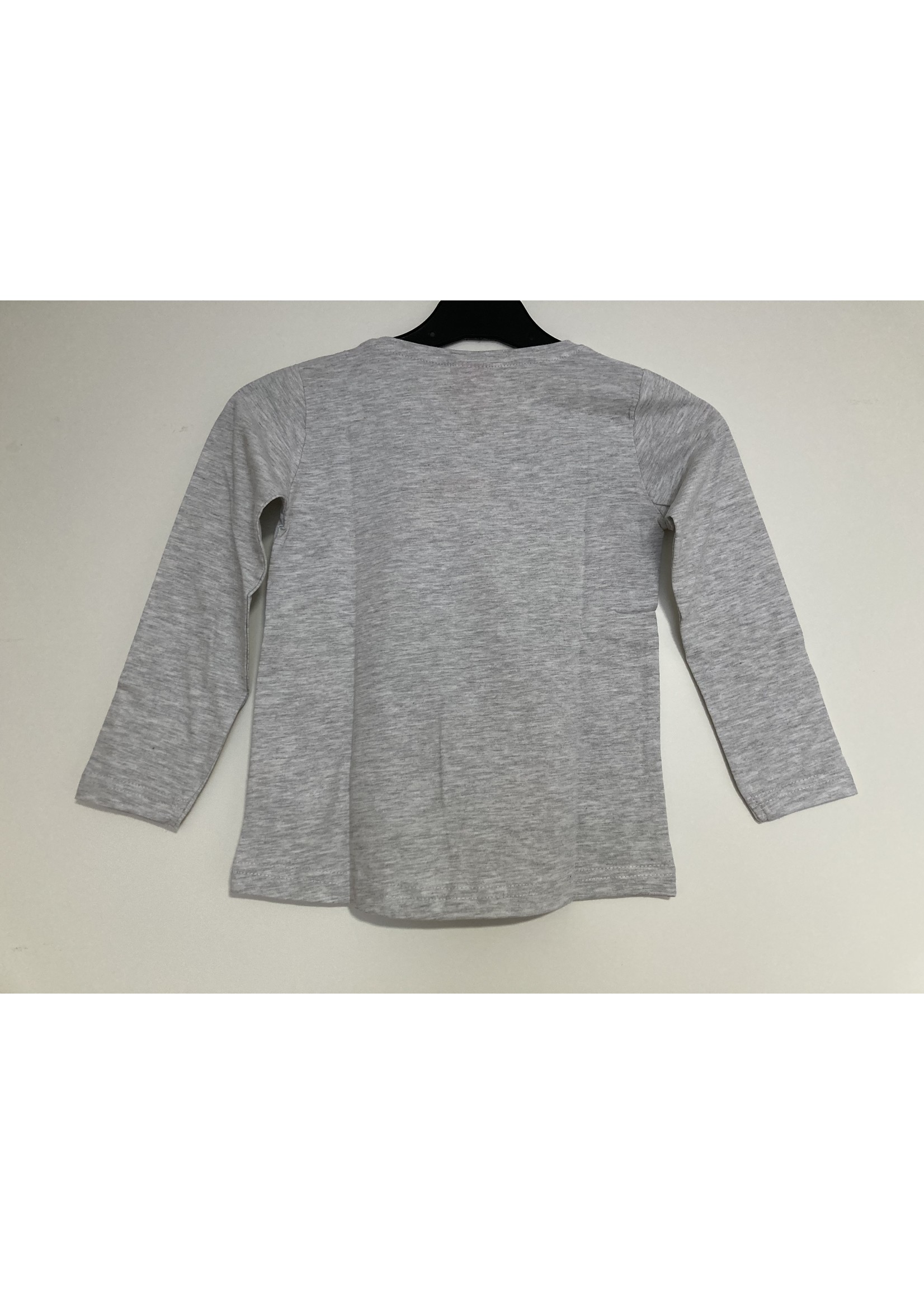 Bing Konijntje Bing en Sula longsleeve van Bing grijs