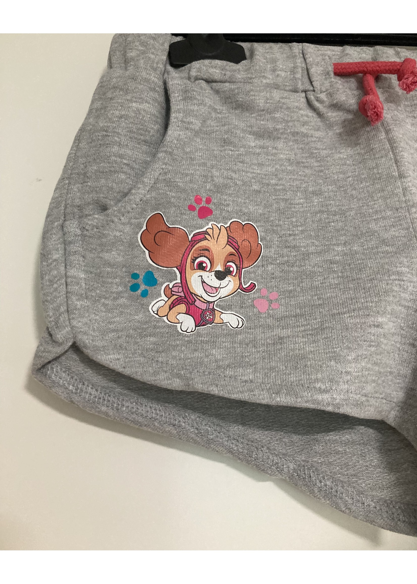 Nickelodeon Paw Patrol shorts from Nickelodeon grey