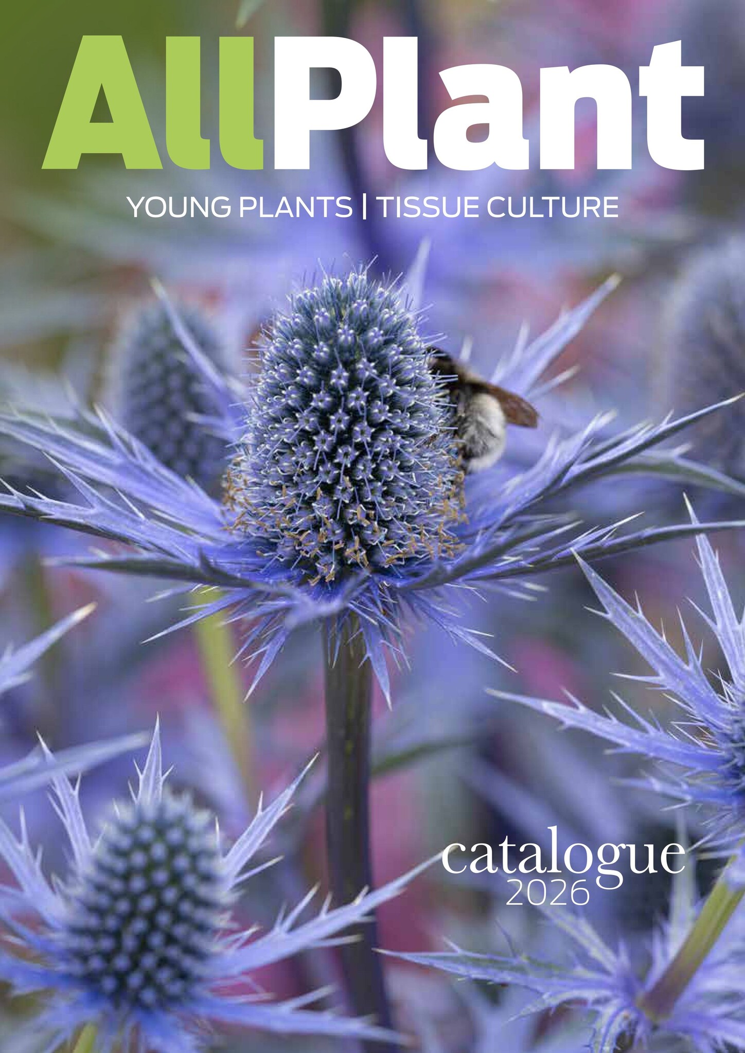 AllPlant catalogue 2026