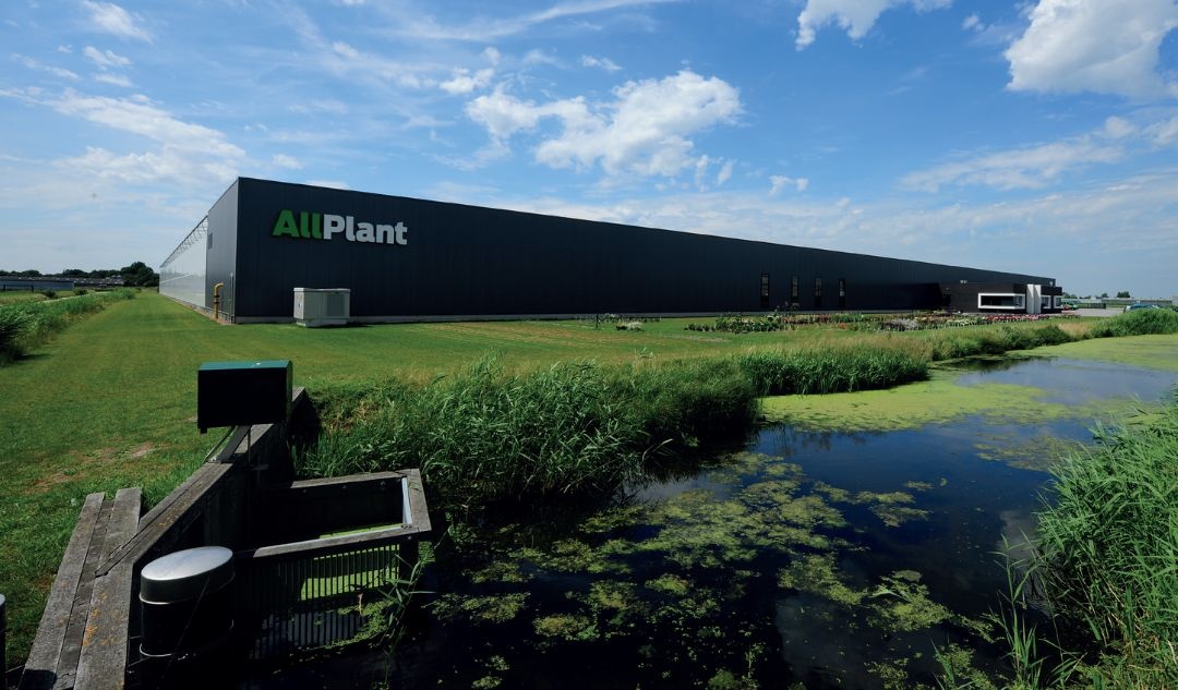 AllPlant bereikt dit jaar een mijlpaal: het is 25 jaar geleden dat het bedrijf officïeel werd opgericht