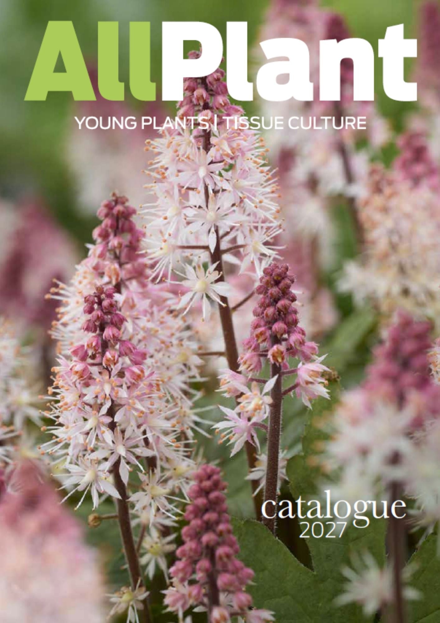 AllPlant catalogue 2027