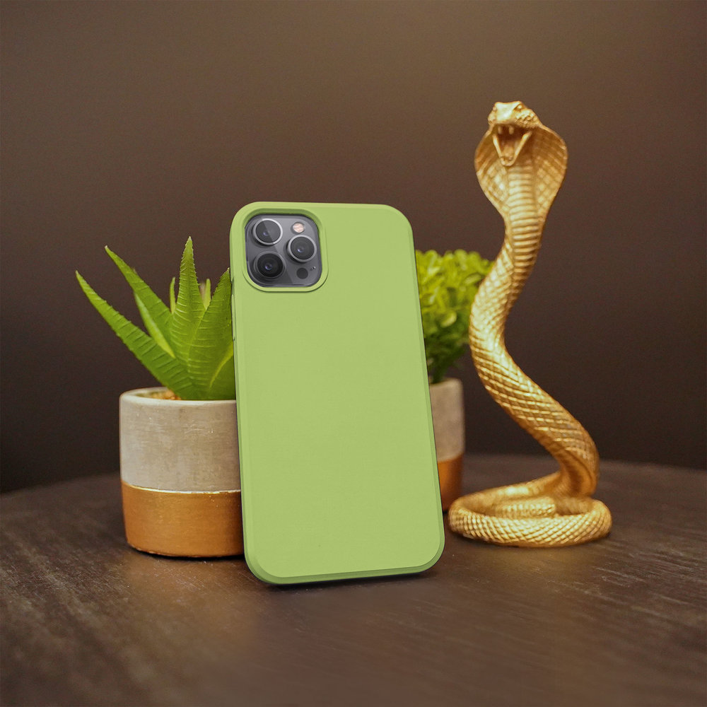 Ceezs Ceezs iPhone 13 Pro Hülle Silikon (Hellgrün) Ceezs Ceezs iPhone 13 Pro Hülle Silikon (Hellgrün)