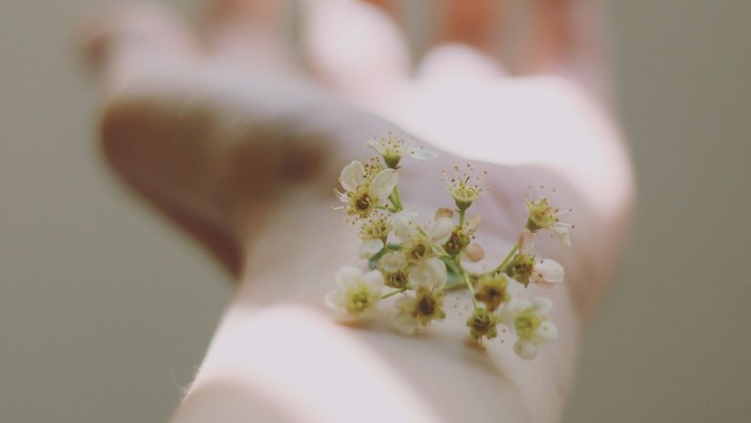 Nickelfreie Apple Watch Armbänder