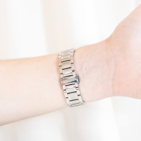 Strap-it® Strap-it Fitbit Charge 6 Stahl Armband (Silber) Strap-it® Strap-it Fitbit Charge 6 Stahl Armband (Silber)