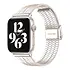 Apple Watch Edelstahlarmband (Polarstern) Apple Watch Edelstahlarmband (Polarstern)