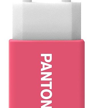 Pantone stekker USB oplader roze