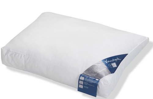 Vandyck Allergy Free Stevig (60x70cm) Kussen