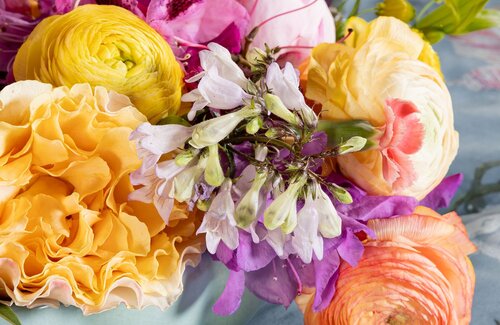 Essenza Mauritshuis Painter's Garden Denim Blue Dekbedovertrek