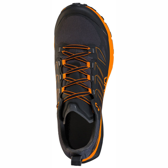 Jackal - Black/Tiger