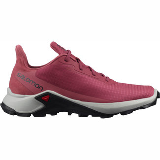 SALOMON Alphacross 3 W