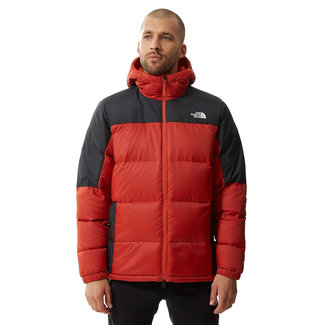 THE NORTH FACE Diablo Down Hoodie