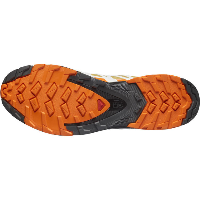 SALOMON XA Pro 3D v8 GTX - Fall Leaf/Vibrant orange