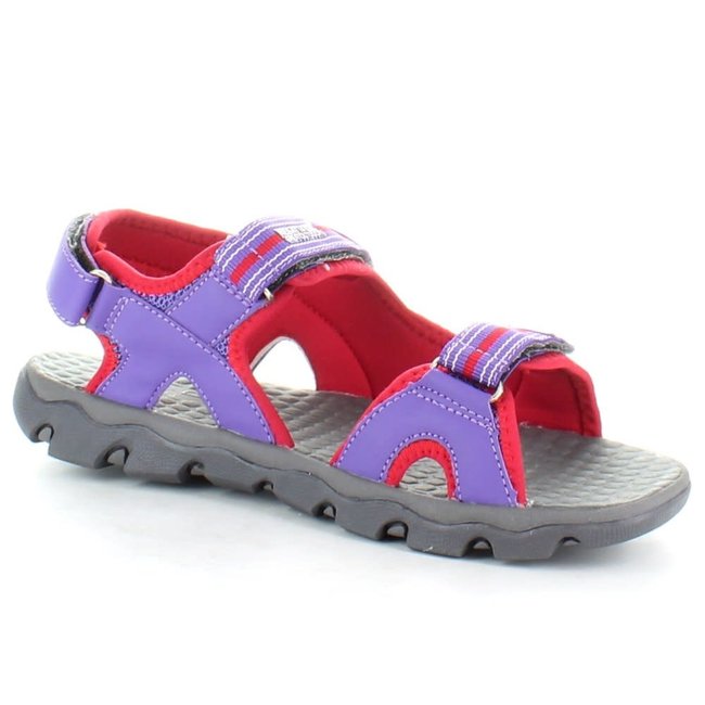 Terrarock Jr. - Alpine Purple