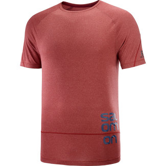 SALOMON Cross Run  Graphic Tee