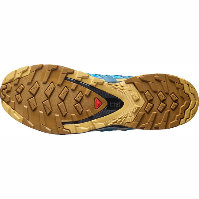 SALOMON XA PRO 3D v8 - Barrier Reef/Fall Leaf