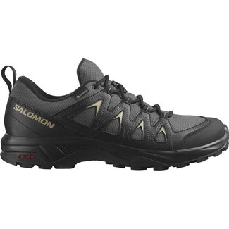 SALOMON SALOMON X Braze GTX