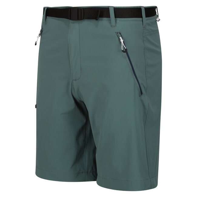 REGATTA Xert StrShort III - Sea Pine