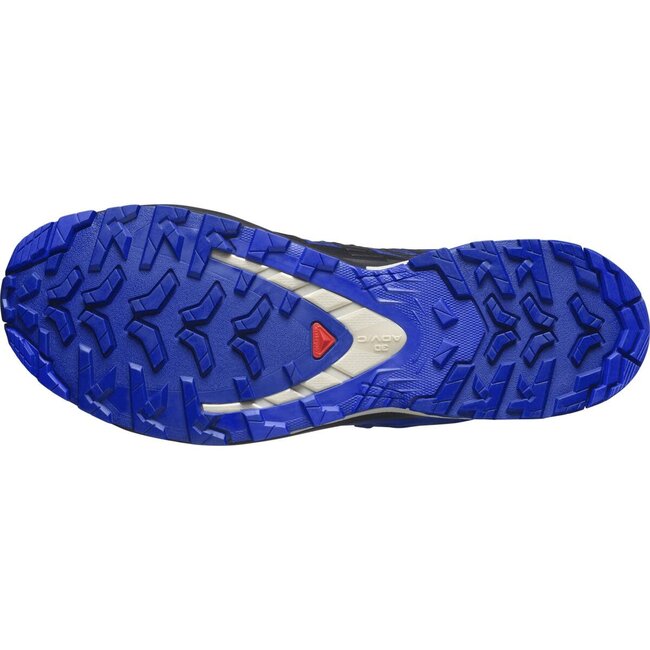 SALOMON Xa PRO 3D v9 GTX - Blue/Surf