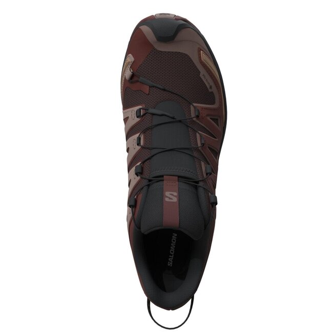 SALOMON XA Pro 3D v9 GTX - Coffee/Rum