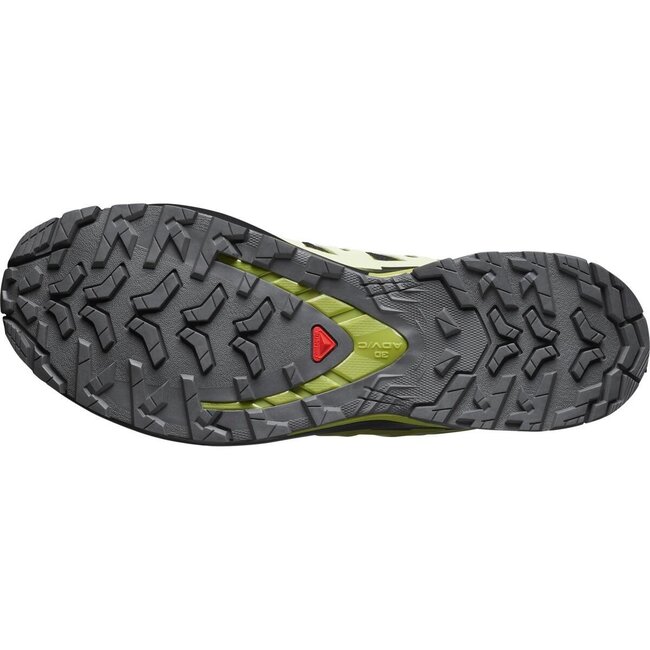 SALOMON XA Pro 3D v9 GTX - Black Lime Cream