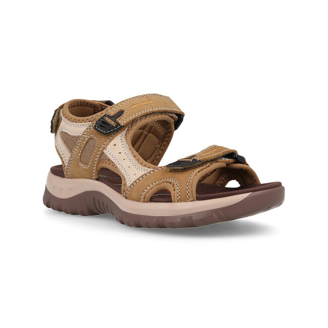 PAREDES Banyotes - Brown