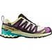 SALOMON SALOMON XA Pro 3D v9 GTX