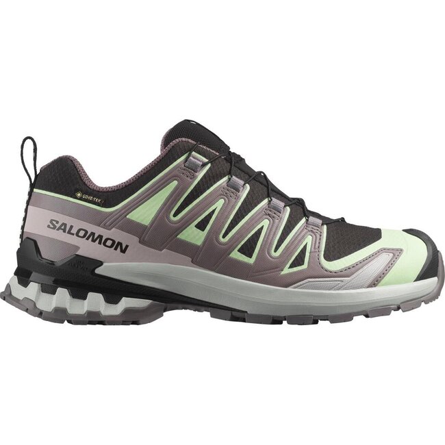 SALOMON XA PRO 3D v9 GTX W - Black/Green/Grey