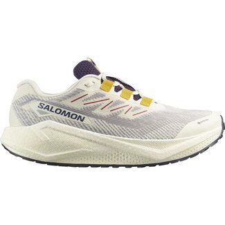 SALOMON SALOMON Aero Blaze 3 GRVL  GTX