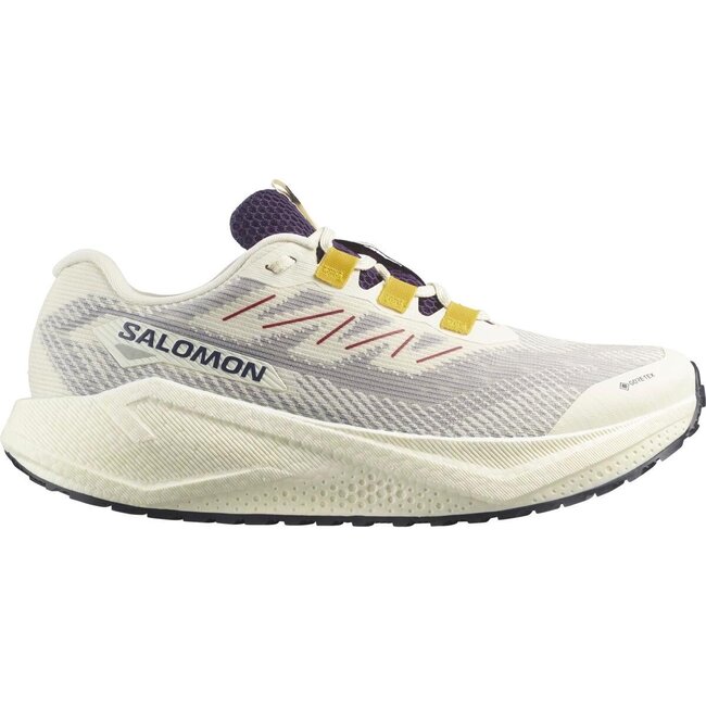 SALOMON Aero Blaze 3 GRVL  GTX - VainillaIce/Astral