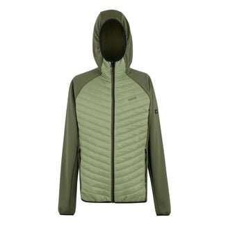 REGATTA REGATTA Andreson Hybrid M