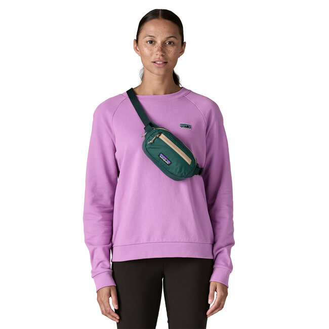 PATAGONIA Terravia Mini Hip Pack - Cascade Green