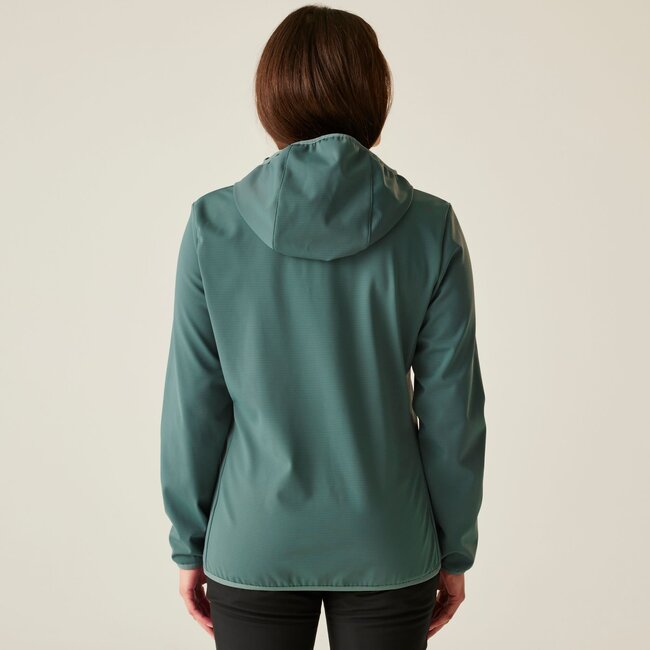 DARE 2B Iced Softshell W - Element Grey