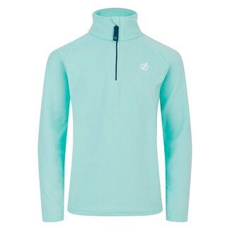 DARE 2B DARE 2B Freehand Half Zip Fleece
