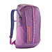 PATAGONIA PATAGONIA Black Hole Pack 25L