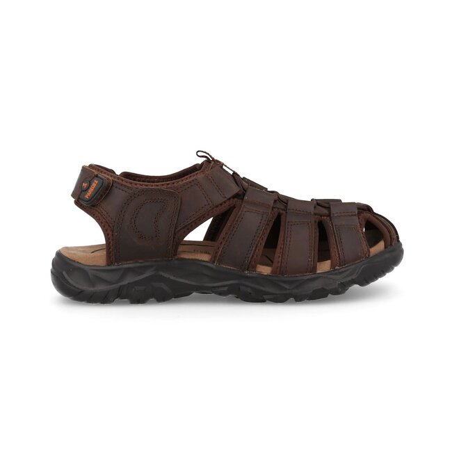 PAREDES Obi - Marrón