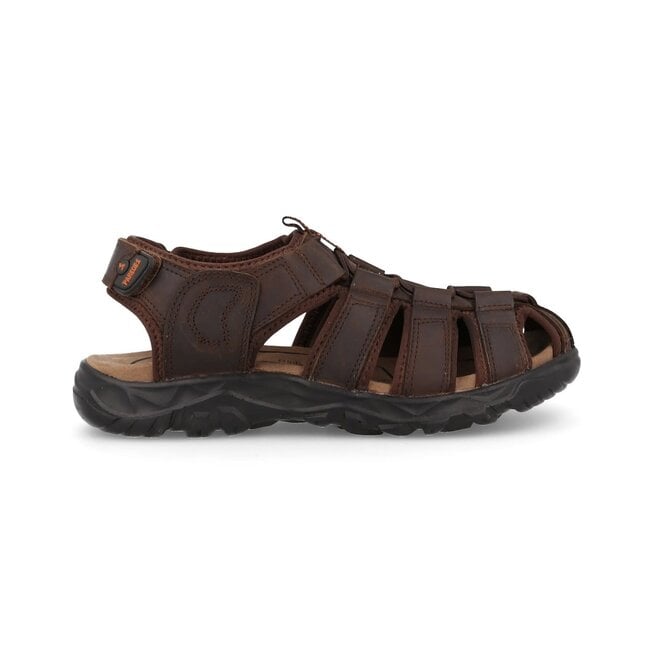 PAREDES Obi - Marrón