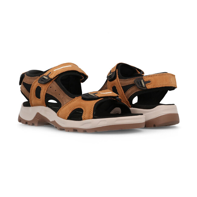 PAREDES Aral - Camel