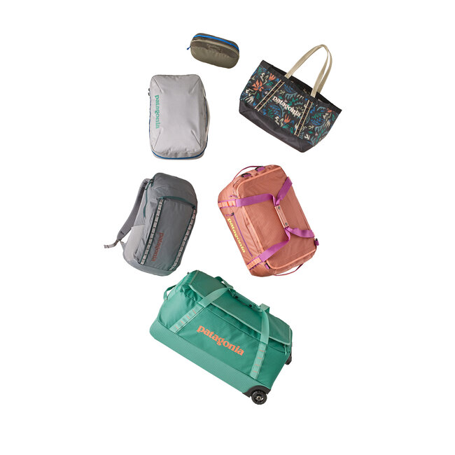 PATAGONIA Black Hole Duffel 40L - Birch White