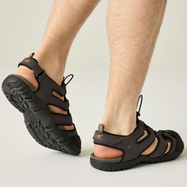 Regatta  Westshore IV - Peat