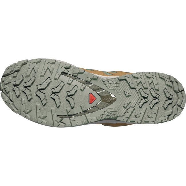 SALOMON XA PRO 3D V9 GTX Sage/Olive