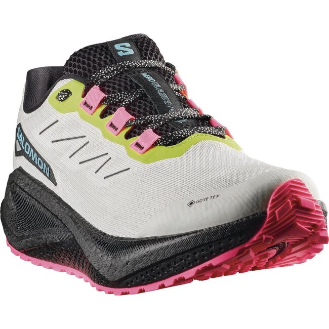 SALOMON AERO BLAZE 3 GRVL GTX - Vanilla Ice/Black