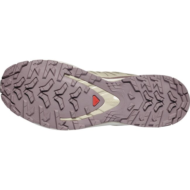 SALOMON XA PRO 3D V9 LIFELONG - Euc