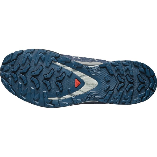 SALOMON Xa Pro 3D V9 GTX - Spellbound/Maritime Blue