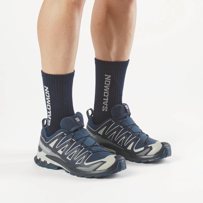 SALOMON Xa Pro 3D V9 GTX - Spellbound/Maritime Blue